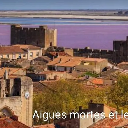 Maison Neuve Calme Avec Jardin Et Parking 15 Mn De La Grande Motte Et Du Grau Du Roi Acces Pmr * Marsillargues