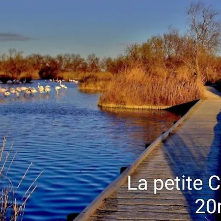 Maison Neuve Calme Avec Jardin Et Parking 15 Mn De La Grande Motte Et Du Grau Du Roi Acces Pmr