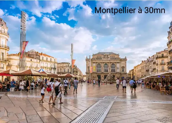 Dom wakacyjny Maison Neuve Calme Avec Jardin Et Parking 15 Mn De La Grande Motte Et Du Grau Du Roi Acces Pmr *