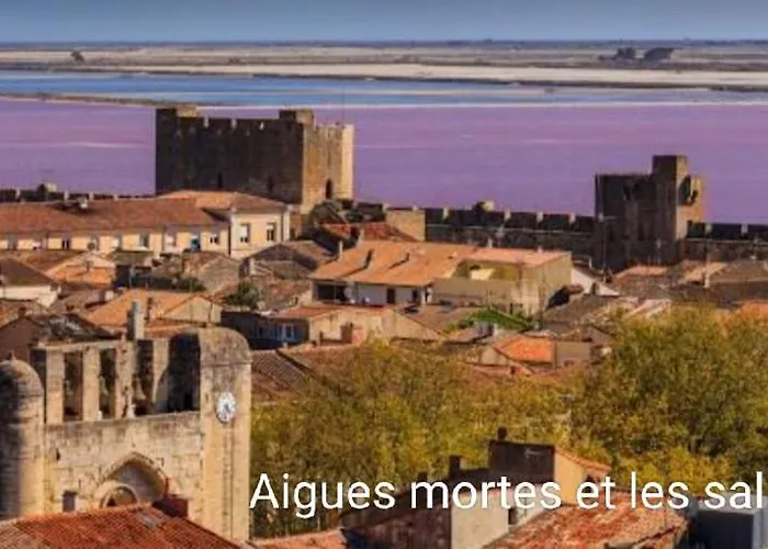 Maison Neuve Calme Avec Jardin Et Parking 15 Mn De La Grande Motte Et Du Grau Du Roi Acces Pmr * Marsillargues