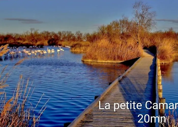 Maison Neuve Calme Avec Jardin Et Parking 15 Mn De La Grande Motte Et Du Grau Du Roi Acces Pmr